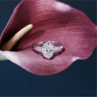 Solitaire 26